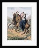 Tudor falconry by Anonymous