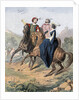 Tudor falconry by Anonymous