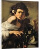 Boy Bitten by a Lizard by Caravaggio