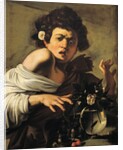 Boy Bitten by a Lizard by Caravaggio