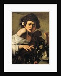 Boy Bitten by a Lizard by Caravaggio