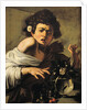 Boy Bitten by a Lizard by Caravaggio