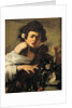 Boy Bitten by a Lizard by Caravaggio