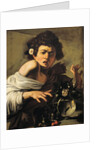 Boy Bitten by a Lizard by Caravaggio