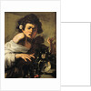 Boy Bitten by a Lizard by Caravaggio