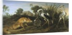 Fable of the Fox and the Heron by Frans Snyders