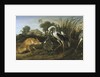 Fable of the Fox and the Heron by Frans Snyders