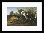 Fable of the Fox and the Heron by Frans Snyders