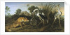 Fable of the Fox and the Heron by Frans Snyders