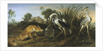 Fable of the Fox and the Heron by Frans Snyders