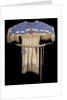 Lakota beaded dress by Anonymous