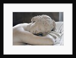 Sleeping Hermaphrodite by Anonymous