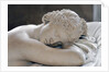 Sleeping Hermaphrodite by Anonymous
