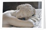 Sleeping Hermaphrodite by Anonymous