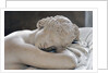 Sleeping Hermaphrodite by Anonymous