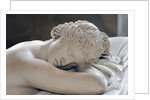 Sleeping Hermaphrodite by Anonymous