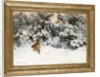 Winter Landscape with Fox and Hounds by Bruno Liljefors