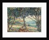 Paysage d'Agay by Armand Guillaumin