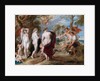 The Judgement of Paris by Peter Paul Rubens