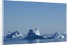 Icebergs in Disko Bay in Greenland by Anonymous