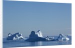 Icebergs in Disko Bay in Greenland by Anonymous