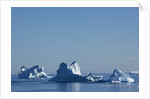 Icebergs in Disko Bay in Greenland by Anonymous