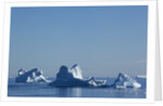 Icebergs in Disko Bay in Greenland by Anonymous