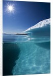 Iceberg in Disko Bay by Anonymous