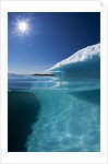 Iceberg in Disko Bay by Anonymous