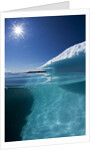 Iceberg in Disko Bay by Anonymous
