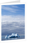 Iceberg in Disko Bay by Anonymous