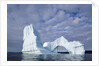 Arched iceberg in Disko Bay in Greenland by Anonymous