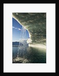 Icebergs in Disko Bay by Anonymous