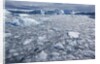 Jakobshavn Glacier on Disko Bay in Greenland by Anonymous
