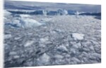 Jakobshavn Glacier on Disko Bay in Greenland by Anonymous