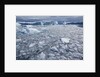 Jakobshavn Glacier on Disko Bay in Greenland by Anonymous
