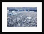 Jakobshavn Glacier on Disko Bay in Greenland by Anonymous