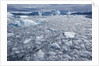 Jakobshavn Glacier on Disko Bay in Greenland by Anonymous