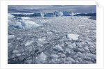 Jakobshavn Glacier on Disko Bay in Greenland by Anonymous