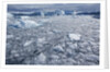 Jakobshavn Glacier on Disko Bay in Greenland by Anonymous