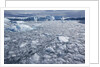Jakobshavn Glacier on Disko Bay in Greenland by Anonymous