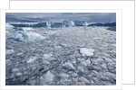 Jakobshavn Glacier on Disko Bay in Greenland by Anonymous