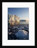 Icebergs in Disko Bay in Greenland by Anonymous