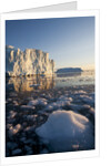 Icebergs in Disko Bay in Greenland by Anonymous