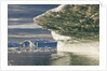 Iceberg melting in Disko Bay in Greenland by Anonymous