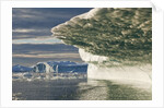 Iceberg melting in Disko Bay in Greenland by Anonymous