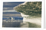Iceberg melting in Disko Bay in Greenland by Anonymous