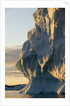 Iceberg in Disko Bay in Greenland by Anonymous