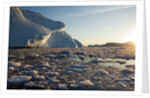 Icebergs in Disko Bay in Greenland by Anonymous