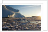 Icebergs in Disko Bay in Greenland by Anonymous